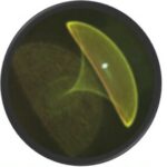 Profile photo of World Academies Support