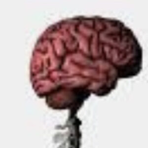 Group logo of Brain & Spinal Science